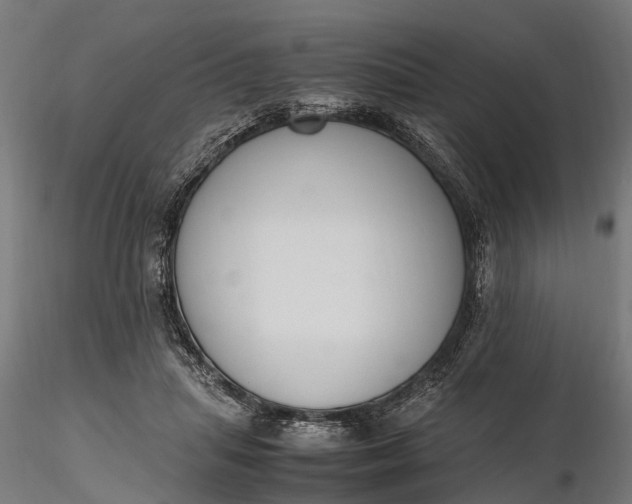 X0000116330455200912151309