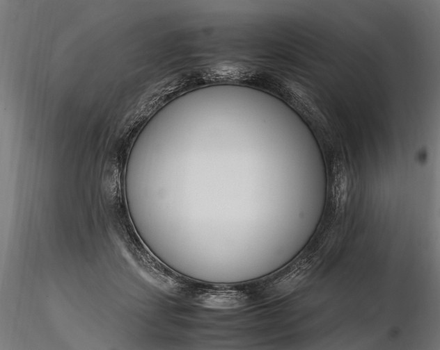 X0000116330459200912151309