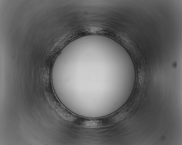 X0000116330461200912151309