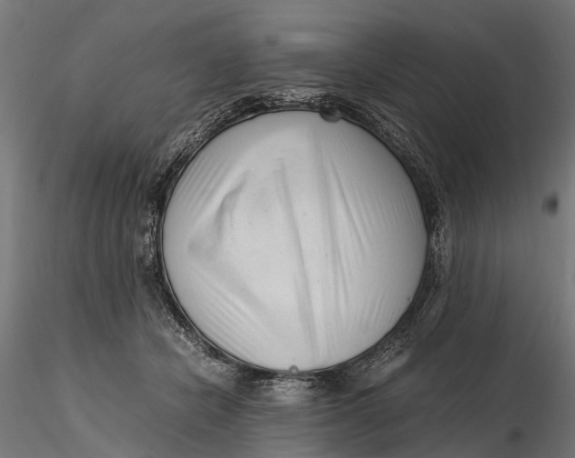 X0000116330462200912151309