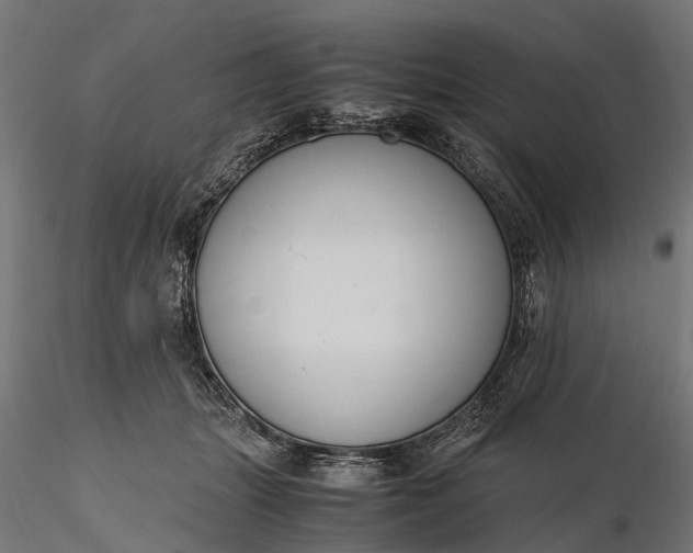 X0000116330463200912151309