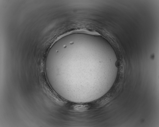 X0000116330465200912151309