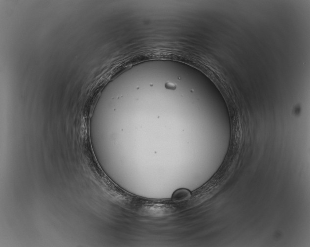 X0000116330467200912151309