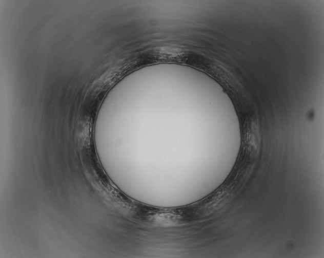 X0000116330468200912151309