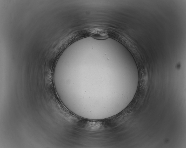 X0000116330469200912151309