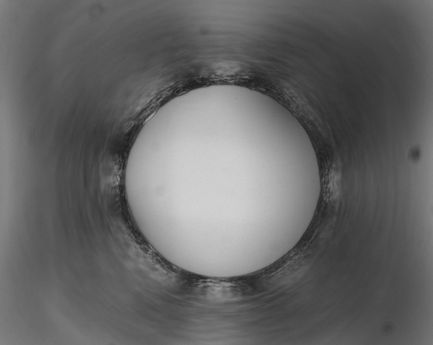 X0000116330472200912151309