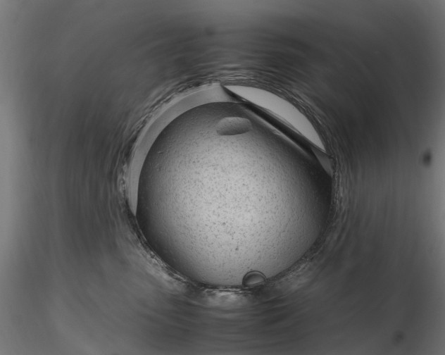 X0000116330475200912151309