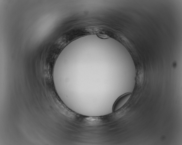 X0000116330477200912151309