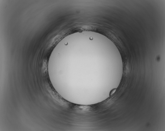 X0000116330478200912151309