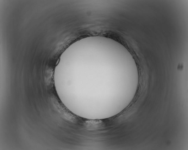 X0000116330480200912151309