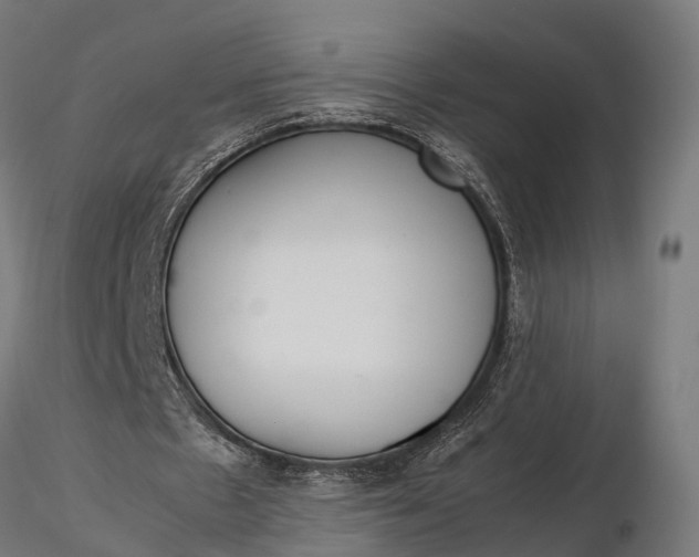 X0000116330481200912151308