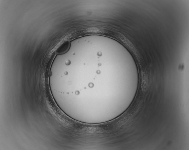 X0000116330482200912151308