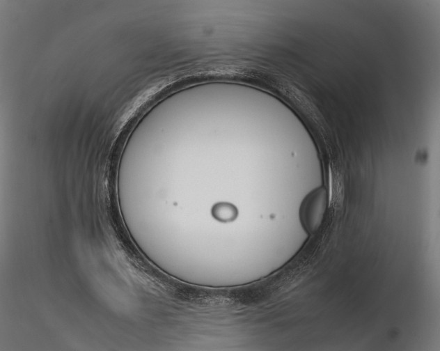 X0000116330483200912151308