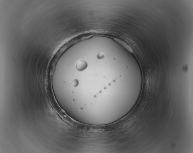 X0000116330484200912151308