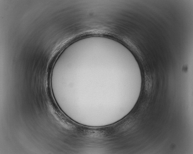 X0000116330486200912151308