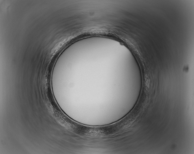 X0000116330487200912151308