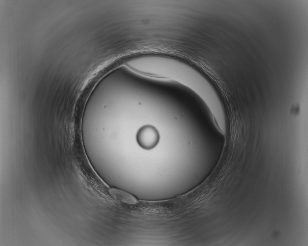 X0000116330488200912151308