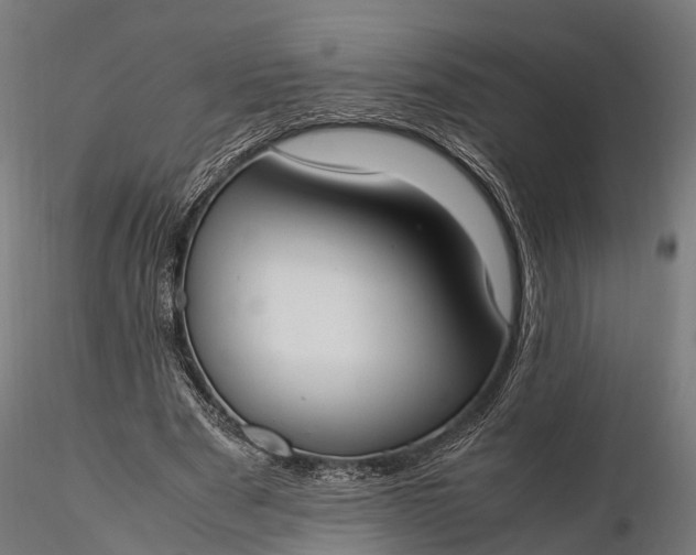 X0000116330489200912151308