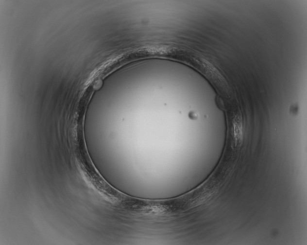 X0000116330492200912151308