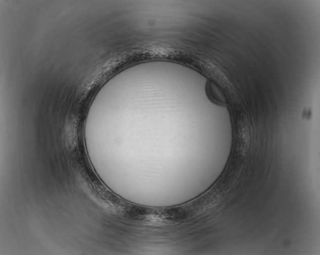 X0000116330496200912151308