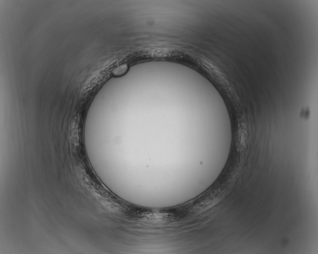 X0000116330497200912151308