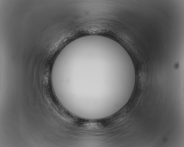 X0000116330499200912151308