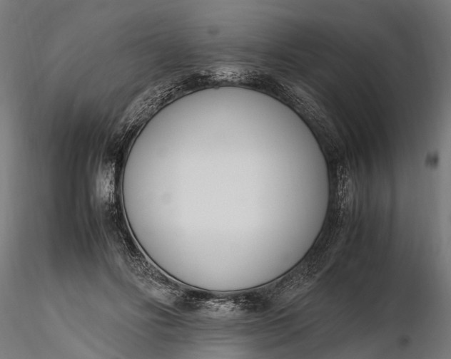 X0000116330502200912151308