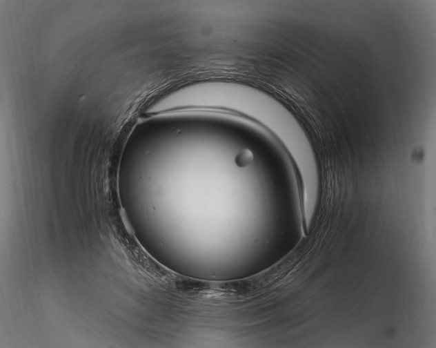 X0000116330504200912151308