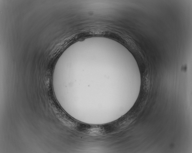 X0000116330505200912151308