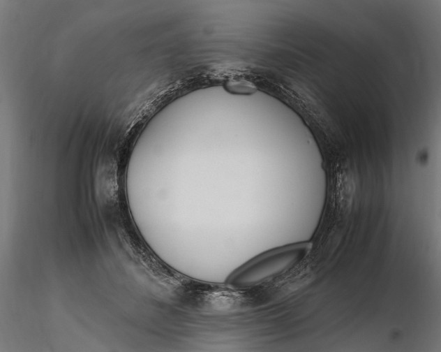 X0000116330508200912151308