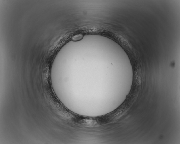 X0000116330509200912151308