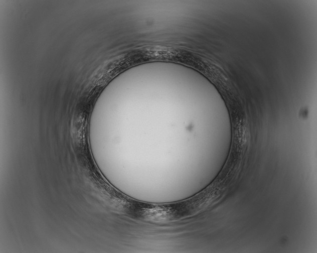 X0000116330511200912151308