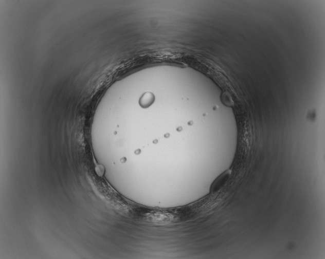 X0000116330512200912151308