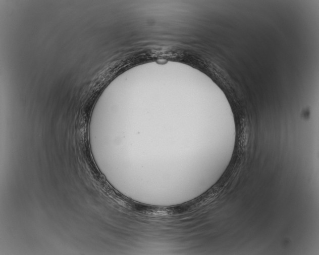 X0000116330513200912151308