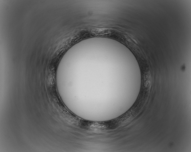 X0000116330515200912151308