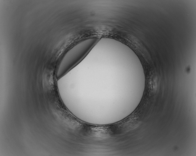 X0000116330516200912151308