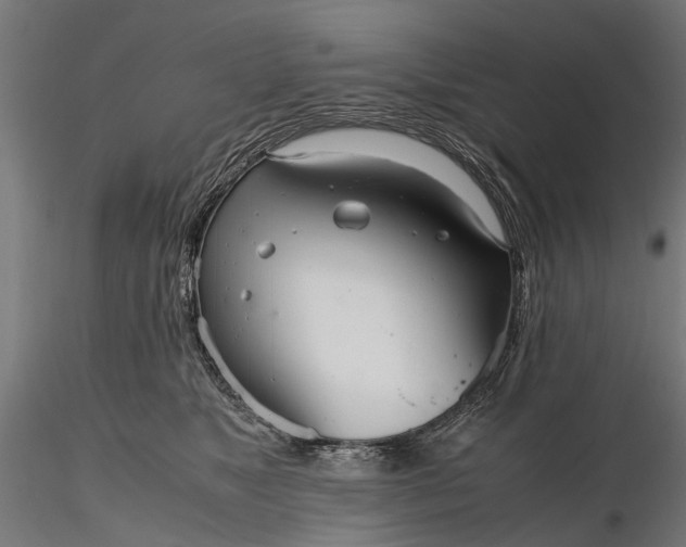 X0000116330517200912151308