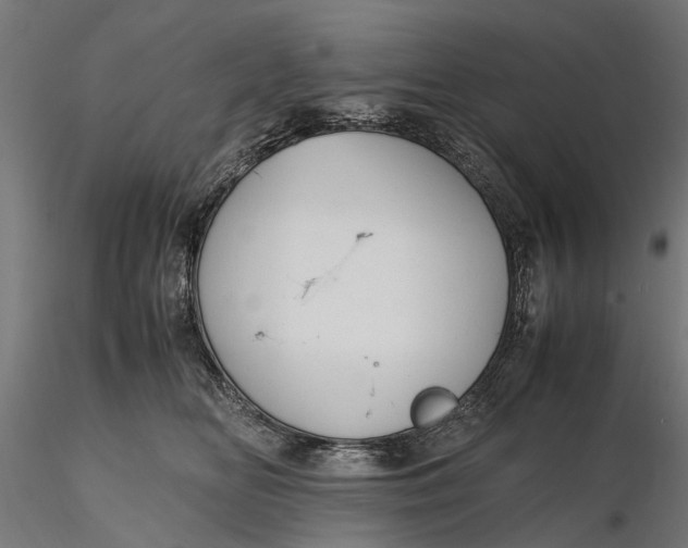 X0000116330518200912151308