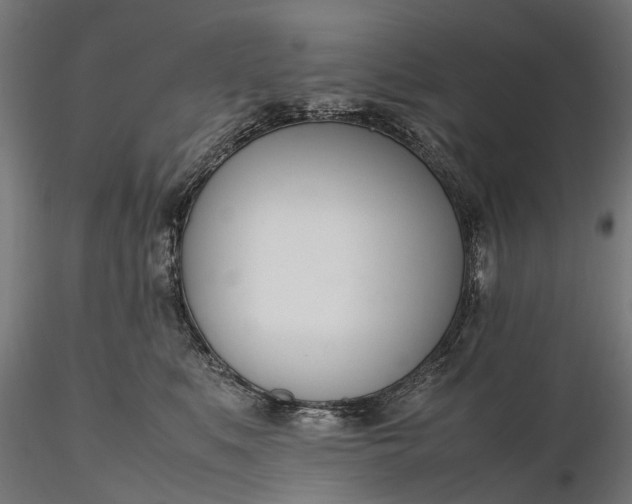 X0000116330519200912151308