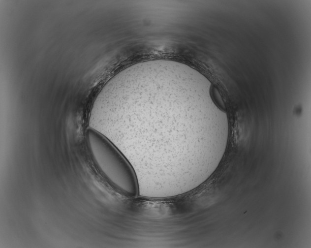 X0000116330520200912151308