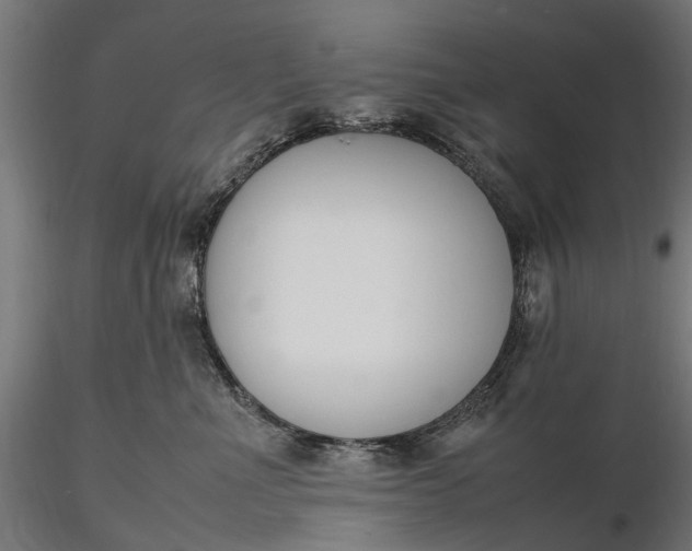 X0000116330523200912151308