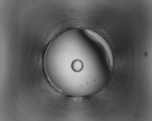 X0000116330524200912151308