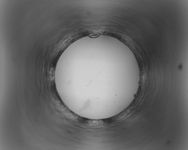 X0000116330525200912151308