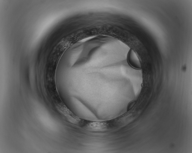 X0000116330526200912151308