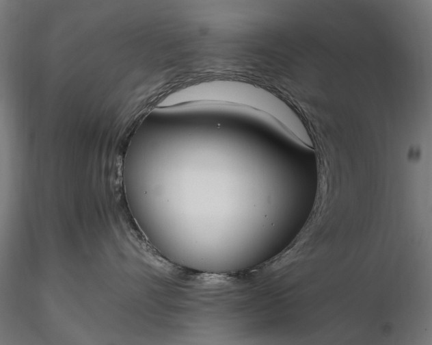 X0000116330528200912151308