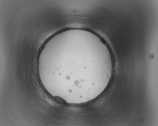 X0000116330529200912151307