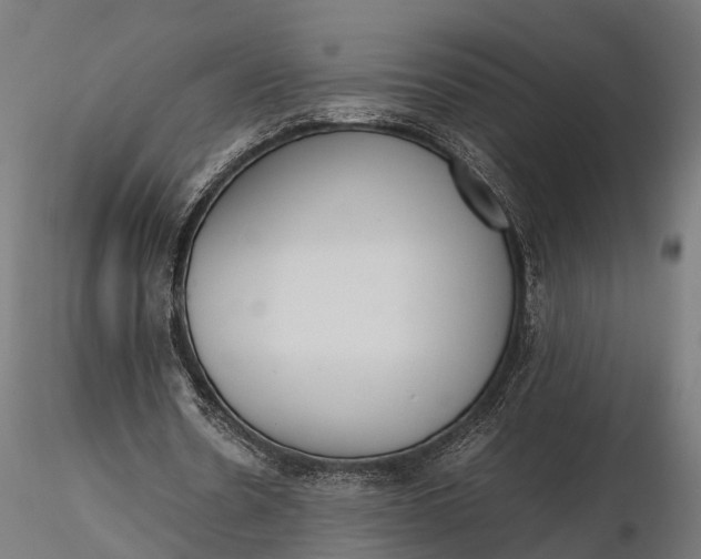 X0000116330530200912151307