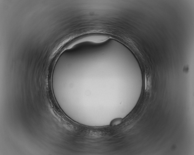 X0000116330531200912151307