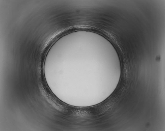 X0000116330535200912151307