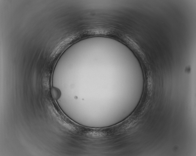 X0000116330537200912151307